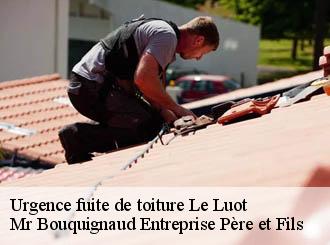 Urgence fuite de toiture le-luot-50870 Mr Bouquignaud Entreprise Père et Fils