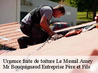 Urgence fuite de toiture le-mesnil-amey-50570 Mr Bouquignaud Entreprise Père et Fils