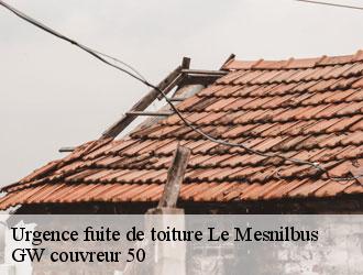 Urgence fuite de toiture  le-mesnilbus-50490 GW couvreur 50