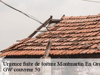Urgence fuite de toiture  montmartin-en-graignes-50620 GW couvreur 50