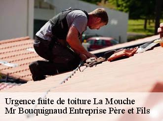 Urgence fuite de toiture la-mouche-50320 Mr Bouquignaud Entreprise Père et Fils
