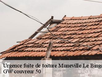 Urgence fuite de toiture muneville-le-bingard-50490 GW couvreur 50