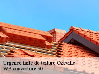 Urgence fuite de toiture  ozeville-50310 WP couverture 50
