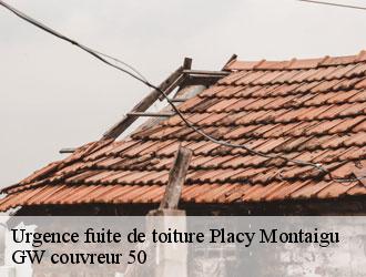 Urgence fuite de toiture  placy-montaigu-50160 GW couvreur 50