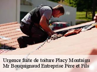 Urgence fuite de toiture placy-montaigu-50160 Mr Bouquignaud Entreprise Père et Fils