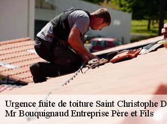 Urgence fuite de toiture saint-christophe-du-foc-50340 Mr Bouquignaud Entreprise Père et Fils