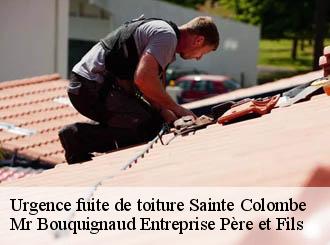 Urgence fuite de toiture  sainte-colombe-50390 Mr Bouquignaud Entreprise Père et Fils