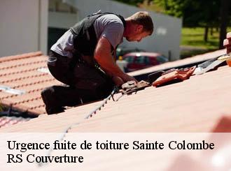 Urgence fuite de toiture sainte-colombe-50390 Artisan Debard DM Habitat