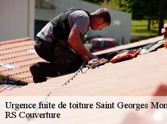 Urgence fuite de toiture saint-georges-montcocq-50000 RS Couverture