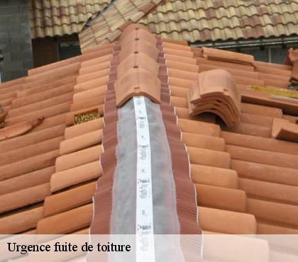 Urgence fuite de toiture