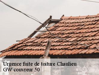 Urgence fuite de toiture chaulieu-50150 GW couvreur 50