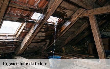 Urgence fuite de toiture chaulieu-50150 GW couvreur 50