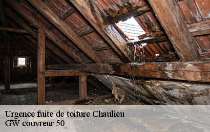 Urgence fuite de toiture chaulieu-50150 GW couvreur 50