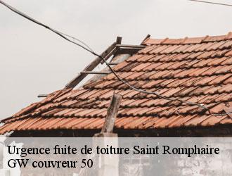 Urgence fuite de toiture saint-romphaire-50750 GW couvreur 50