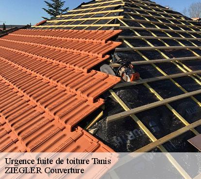 Urgence fuite de toiture  tanis-50170 ZIEGLER Couverture