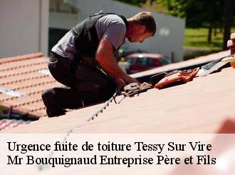 Urgence fuite de toiture tessy-sur-vire-50420 Mr Bouquignaud Entreprise Père et Fils