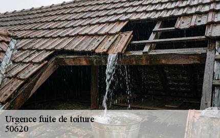 Urgence fuite de toiture tribehou-50620 GW couvreur 50