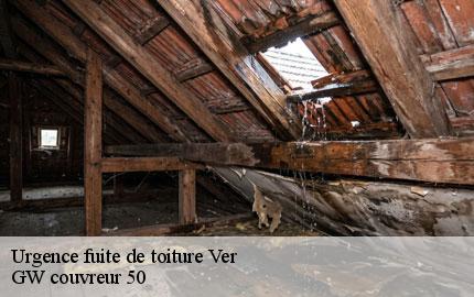 Urgence fuite de toiture  ver-50450 GW couvreur 50