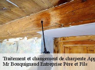 Traitement et changement de charpente appeville-50500 Mr Bouquignaud Entreprise Père et Fils