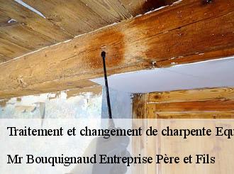 Traitement et changement de charpente equeurdreville-hainneville-50120 Mr Bouquignaud Entreprise Père et Fils