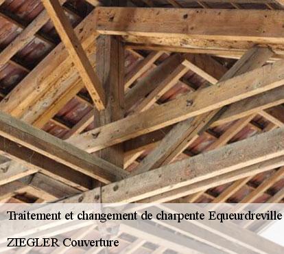 Traitement et changement de charpente  equeurdreville-hainneville-50120 ZIEGLER Couverture