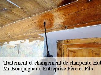 Traitement et changement de charpente huberville-50700 Mr Bouquignaud Entreprise Père et Fils