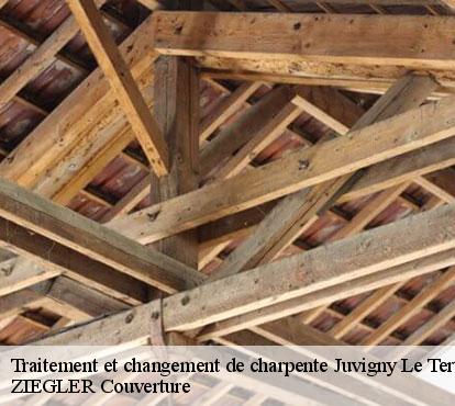 Traitement et changement de charpente  juvigny-le-tertre-50520 ZIEGLER Couverture
