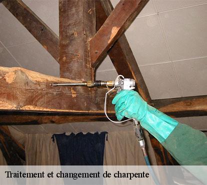 Traitement et changement de charpente
