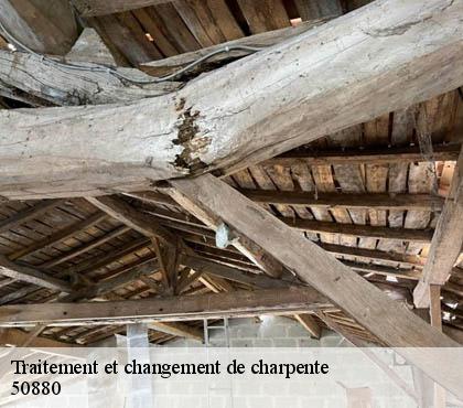 Traitement et changement de charpente  50880