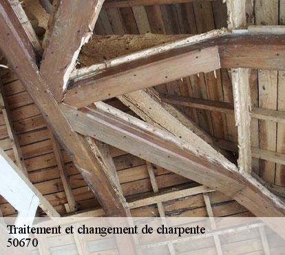 Traitement et changement de charpente  50670