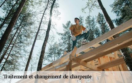 Traitement et changement de charpente  saint-sebastien-de-raids-50190 GW couvreur 50