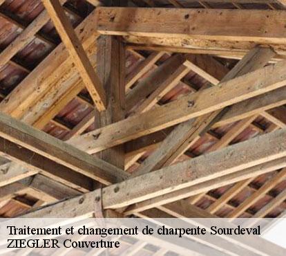 Traitement et changement de charpente  sourdeval-50150 ZIEGLER Couverture