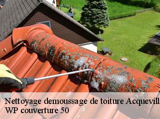 Nettoyage demoussage de toiture  acqueville-50440 WP couverture 50