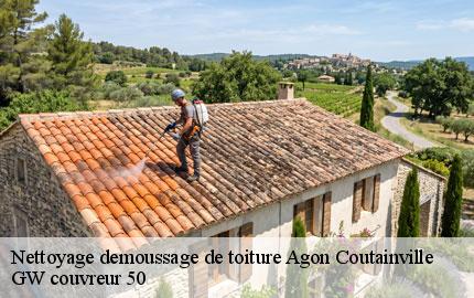 Nettoyage demoussage de toiture  agon-coutainville-50230 GW couvreur 50