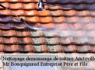Nettoyage demoussage de toiture  anctoville-sur-boscq-50400 Mr Bouquignaud Entreprise Père et Fils