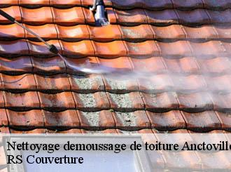 Nettoyage demoussage de toiture anctoville-sur-boscq-50400 RS Couverture