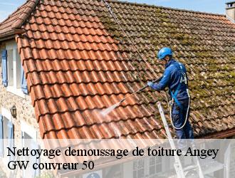 Nettoyage demoussage de toiture angey-50530 GW couvreur 50