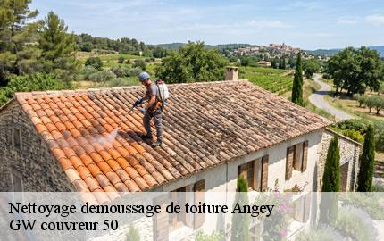 Nettoyage demoussage de toiture angey-50530 GW couvreur 50