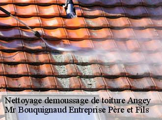 Nettoyage demoussage de toiture angey-50530 Mr Bouquignaud Entreprise Père et Fils