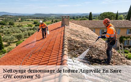 Nettoyage demoussage de toiture angoville-en-saire-50330 GW couvreur 50