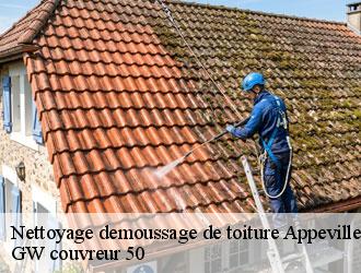 Nettoyage demoussage de toiture  appeville-50500 GW couvreur 50