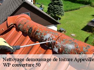 Nettoyage demoussage de toiture  appeville-50500 WP couverture 50