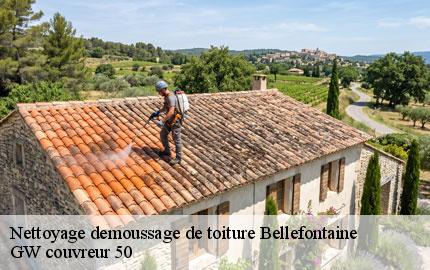 Nettoyage demoussage de toiture  bellefontaine-50520 GW couvreur 50