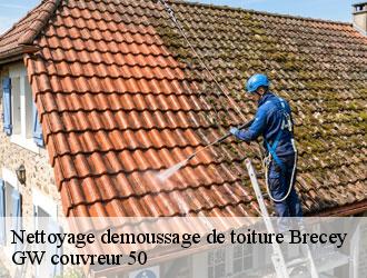 Nettoyage demoussage de toiture brecey-50370 GW couvreur 50