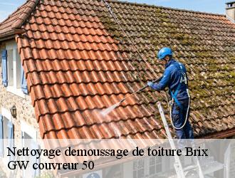 Nettoyage demoussage de toiture brix-50700 GW couvreur 50