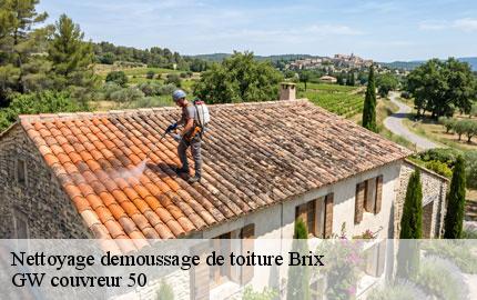 Nettoyage demoussage de toiture brix-50700 GW couvreur 50