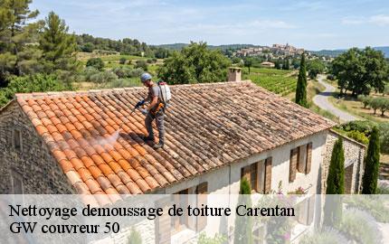 Nettoyage demoussage de toiture carentan-50500 GW couvreur 50