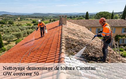 Nettoyage demoussage de toiture carentan-50500 GW couvreur 50