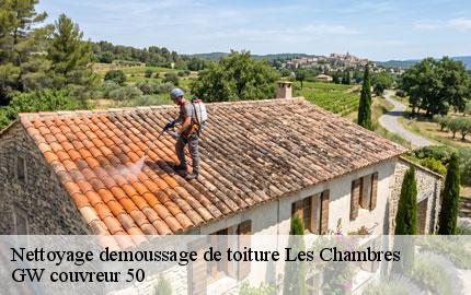 Nettoyage demoussage de toiture  les-chambres-50320 GW couvreur 50
