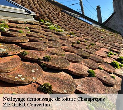 Nettoyage demoussage de toiture champrepus-50800 ZIEGLER Couverture